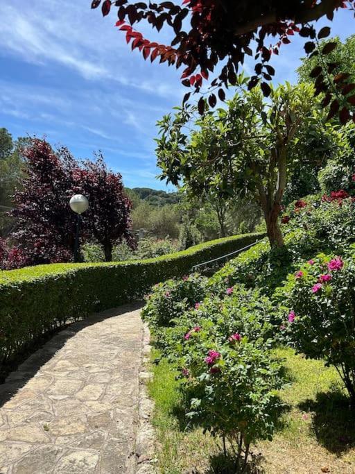 San Martín de Valdeiglesias Apartamento De Lujo Vergel Suite מראה חיצוני תמונה